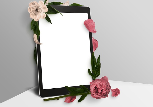 브랜드 정체성 담은 인스타 아이디, 첫인상을 결정합니다 - present, template, ebook, tulips, hd wallpaper, free wallpaper, full hd wallpaper, blog, fac