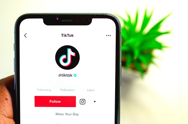 갓 시작한 스레드 계정, 팔로워 1천 명 달성 첫걸음 - tiktok, app, smartphone, screen, social media, multimedia, application, digital, phone, mobil