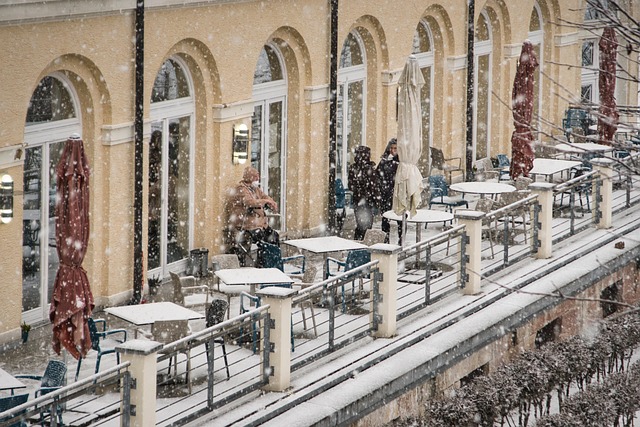 단계별 인스타 프로필 최적화 실행 방법 - coffee shop, winter, cafe, nature, snow, restaurant