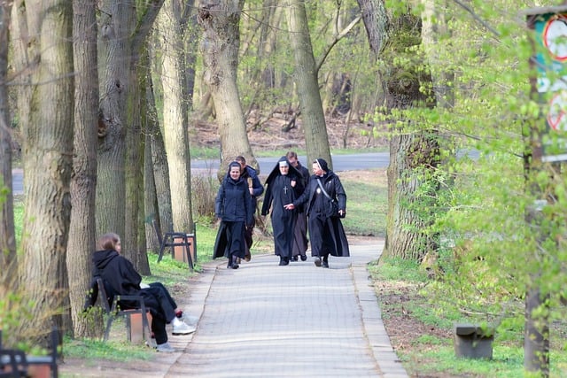 인스타 릴스, 성공적인 콘텐츠 제작의 첫걸음 - people, church faces, uniforms, black, crosses, nature, religion, going, walking, alley, forest, t